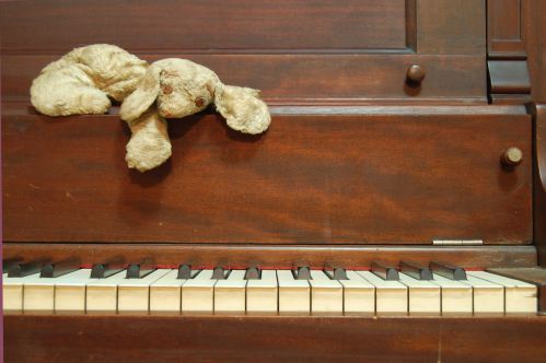 Piano Rabbit
